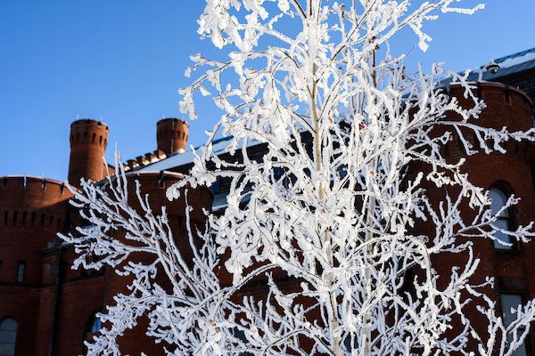 Early-morning hoarfrost coats trees and bushes in snow-covered Alumni Park at the University of Wisconsin-Madison during winter on Feb. 19, 2019. In the background is the Red Gym (Armory and Gymnasium). (Photo by Jeff Miller / UW-Madison)