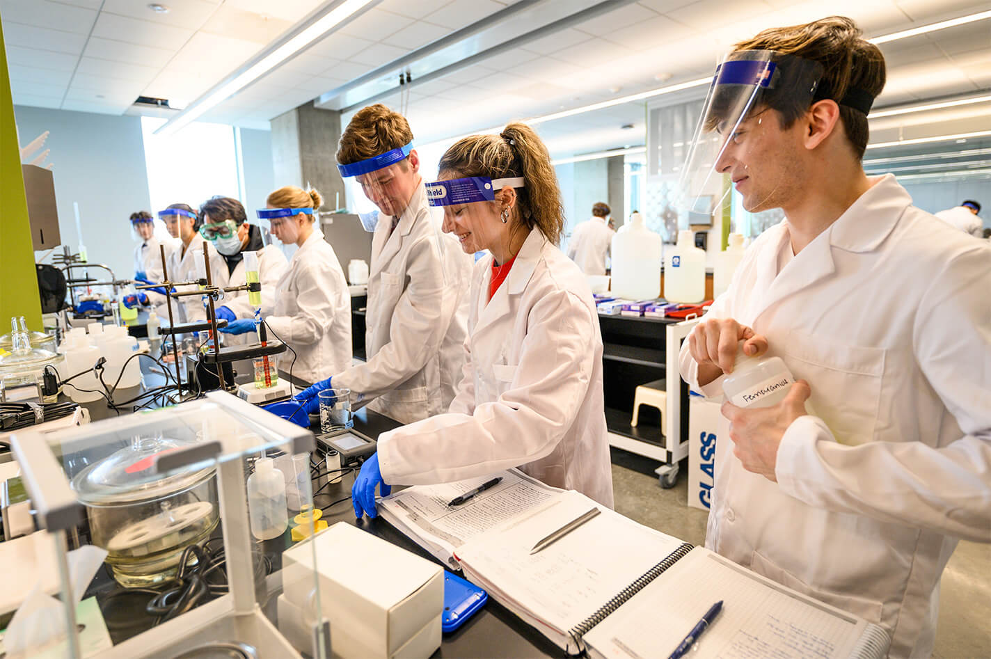 Students working on a lab project