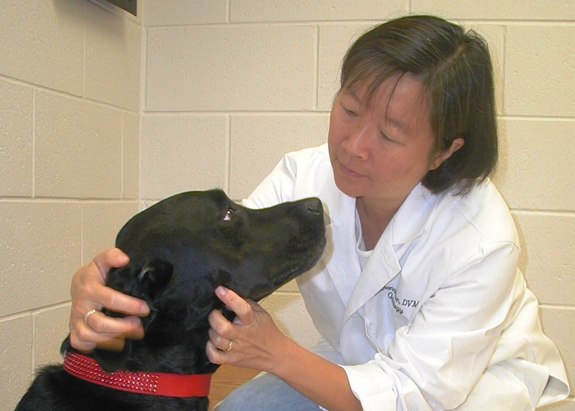 Ruthanne Chun ’87, DVM’91 kneeling beside a black dog with a red collar