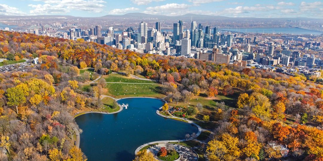 Aerial View of Toronto